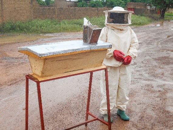Projet APICULTURE