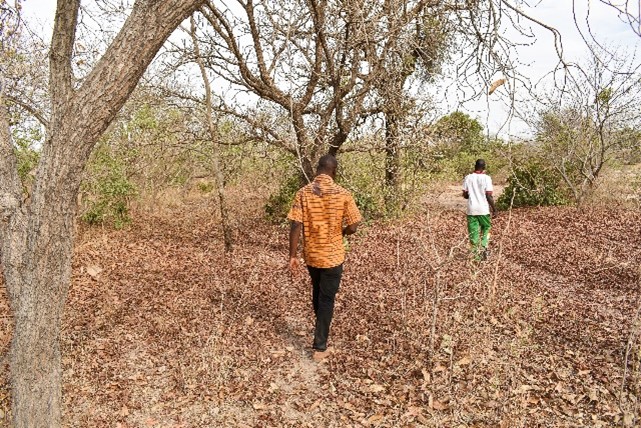 Projet d’appui à la conservation de la forêt classée de Toroba à travers la création et l’aménagement d’une forêt communale, d’un périmètre maraicher et la réalisation d’une piste à bétail