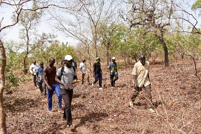 Projet d’appui à la conservation de la forêt communale de Oury à travers des aménagements et la promotion de l’agro écologie