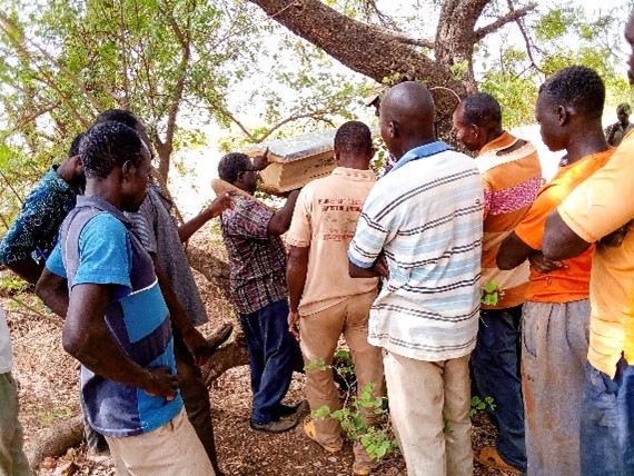 Projet d’appui aux groupements villageois de Bissou et de Sienne dans la commune rurale de Godyr