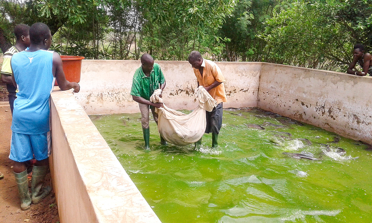 Site-Web-CEAS-Burkina-49