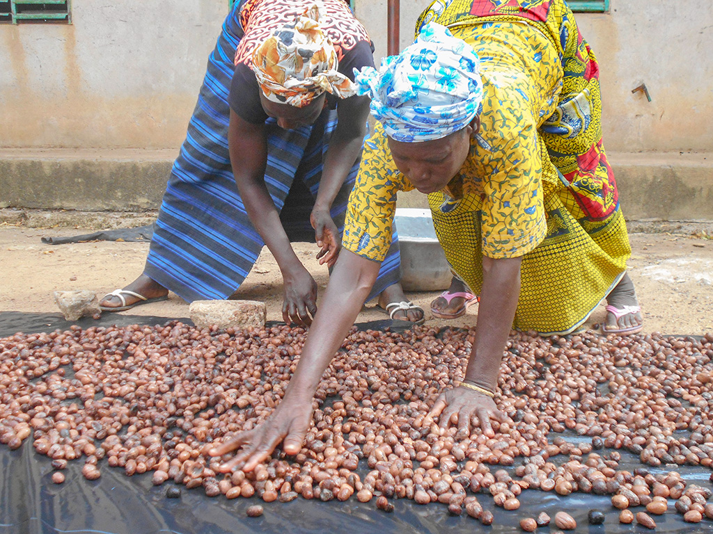 Site-Web-CEAS-Burkina-18
